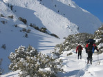 SAR Snow and Ice : submitted by J. Moran Altadena SAR