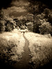 Sony Infra Red/Wide Angle : 
