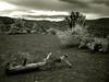 jayng > Sedona IR 2006 photo